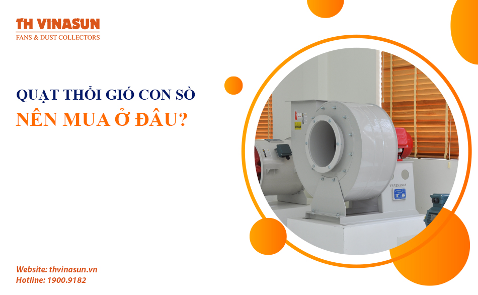 Nên mua quạt thổi gió con sò ở đâu chất lượng cao, uy tín?