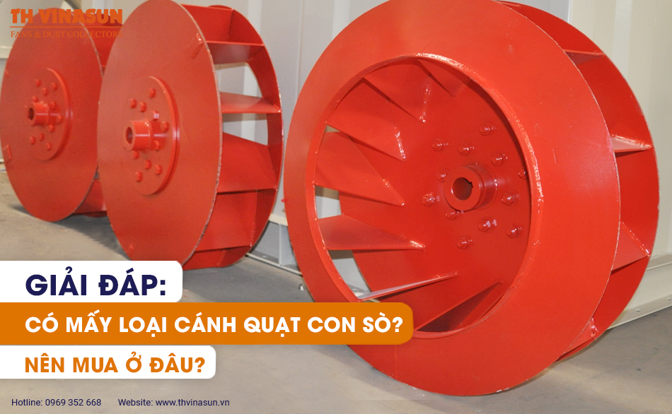 Giải đáp: Có mấy loại cánh quạt con sò? Nên mua ở đâu?