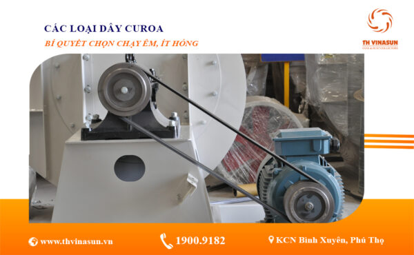 Các loại dây curoa