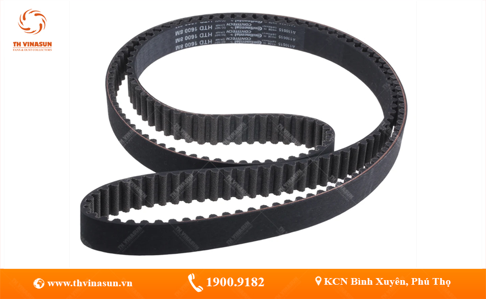 Các loại dây curoa