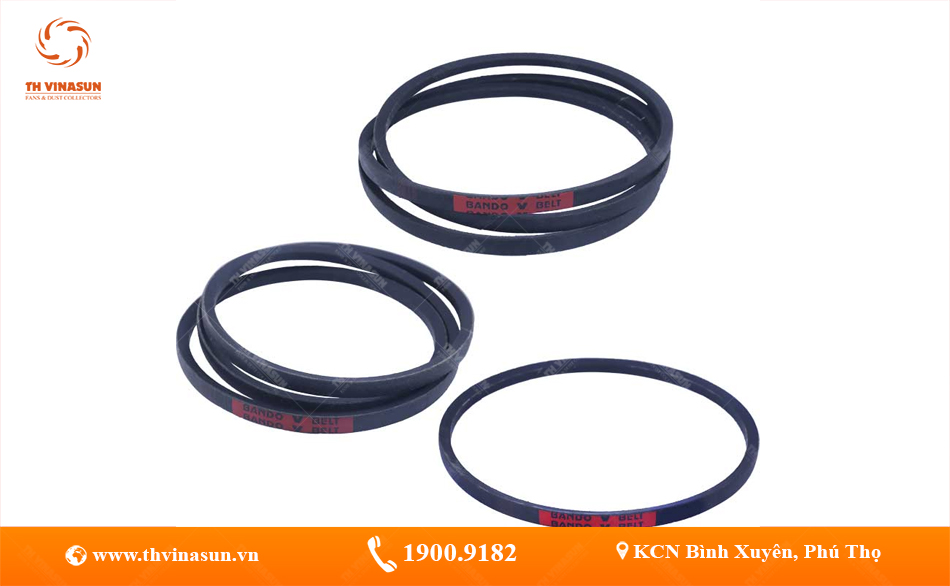 Các loại dây curoa