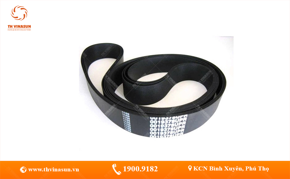 Các loại dây curoa