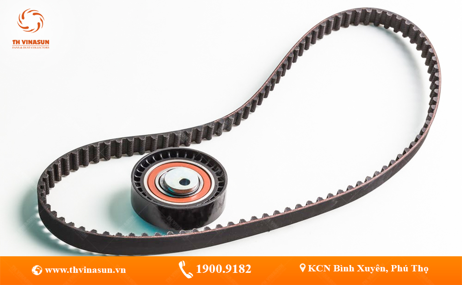 Các loại dây curoa